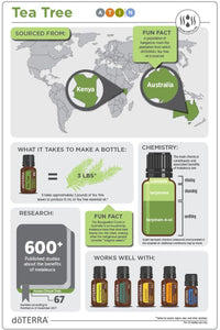 Thumbnail for doTERRA Tea Tree (Melaleuca) Essential Oil